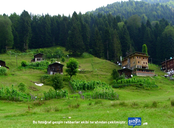 Ayder Kaplıcaları fotoğrafı