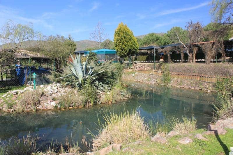 Dikili Termal Kaplıcaları kaplıca fotoğrafı 2