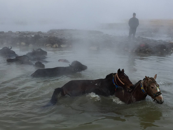 Güroymak Kaplıcaları kaplıca fotoğrafı 4