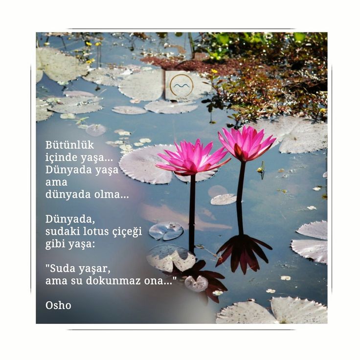 Sarıot Kaplıcası kaplıca fotoğrafı 4